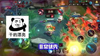 巨龙王者爆料视频下载大全,揭秘神秘巨龙世界的精彩瞬间